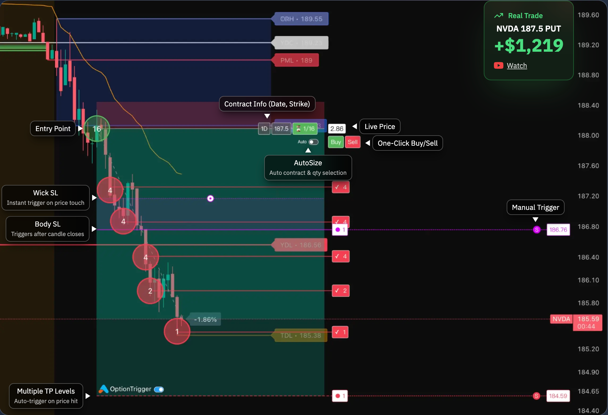 OptionTrigger in TradingView - NVDA Options Trading